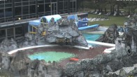 Archiv Foto Webcam Bad Füssing: Johannesbad-Therme Felsenlagune 05:00