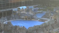 Archiv Foto Webcam Bad Füssing: Johannesbad-Therme Felsenlagune 05:00