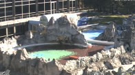 Archiv Foto Webcam Bad Füssing: Johannesbad-Therme Felsenlagune 07:00