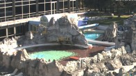 Archiv Foto Webcam Bad Füssing: Johannesbad-Therme Felsenlagune 07:00