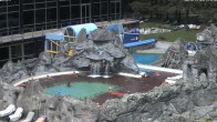 Archiv Foto Webcam Bad Füssing: Johannesbad-Therme Felsenlagune 13:00