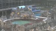 Archiv Foto Webcam Bad Füssing: Johannesbad-Therme Felsenlagune 06:00