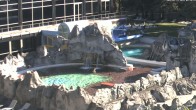 Archiv Foto Webcam Bad Füssing: Johannesbad-Therme Felsenlagune 07:00