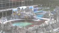 Archiv Foto Webcam Bad Füssing: Johannesbad-Therme Felsenlagune 06:00