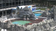 Archiv Foto Webcam Bad Füssing: Johannesbad-Therme Felsenlagune 09:00