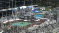 Archiv Foto Webcam Bad Füssing: Johannesbad-Therme Felsenlagune 11:00