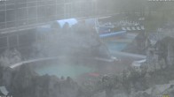 Archiv Foto Webcam Bad Füssing: Johannesbad-Therme Felsenlagune 05:00