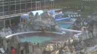 Archiv Foto Webcam Bad Füssing: Johannesbad-Therme Felsenlagune 06:00