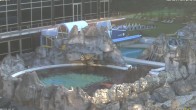 Archiv Foto Webcam Bad Füssing: Johannesbad-Therme Felsenlagune 06:00