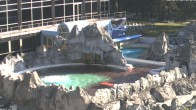 Archiv Foto Webcam Bad Füssing: Johannesbad-Therme Felsenlagune 07:00
