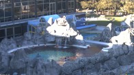 Archiv Foto Webcam Bad Füssing: Johannesbad-Therme Felsenlagune 17:00