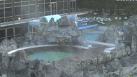 Archiv Foto Webcam Bad Füssing: Johannesbad-Therme Felsenlagune 03:00