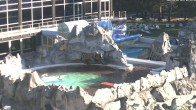Archiv Foto Webcam Bad Füssing: Johannesbad-Therme Felsenlagune 05:00