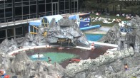 Archiv Foto Webcam Bad Füssing: Johannesbad-Therme Felsenlagune 10:00