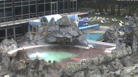 Archiv Foto Webcam Bad Füssing: Johannesbad-Therme Felsenlagune 06:00