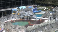 Archiv Foto Webcam Bad Füssing: Johannesbad-Therme Felsenlagune 12:00