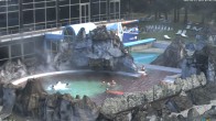 Archiv Foto Webcam Bad Füssing: Johannesbad-Therme Felsenlagune 08:00