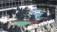 Archiv Foto Webcam Bad Füssing: Johannesbad-Therme Felsenlagune 09:00