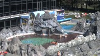 Archiv Foto Webcam Bad Füssing: Johannesbad-Therme Felsenlagune 11:00