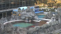 Archiv Foto Webcam Bad Füssing: Johannesbad-Therme Felsenlagune 17:00
