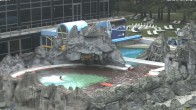 Archiv Foto Webcam Bad Füssing: Johannesbad-Therme Felsenlagune 08:00