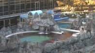 Archiv Foto Webcam Bad Füssing: Johannesbad-Therme Felsenlagune 17:00