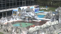 Archiv Foto Webcam Bad Füssing: Johannesbad-Therme Felsenlagune 11:00