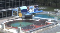 Archiv Foto Webcam Bad Füssing: Johannesbad-Therme Felsenlagune 11:00