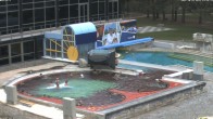 Archiv Foto Webcam Bad Füssing: Johannesbad-Therme Felsenlagune 13:00