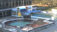 Archiv Foto Webcam Bad Füssing: Johannesbad-Therme Felsenlagune 15:00