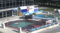 Archiv Foto Webcam Bad Füssing: Johannesbad-Therme Felsenlagune 09:00
