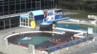 Archiv Foto Webcam Bad Füssing: Johannesbad-Therme Felsenlagune 11:00