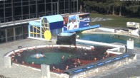 Archiv Foto Webcam Bad Füssing: Johannesbad-Therme Felsenlagune 11:00