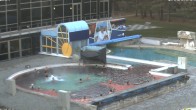 Archiv Foto Webcam Bad Füssing: Johannesbad-Therme Felsenlagune 15:00