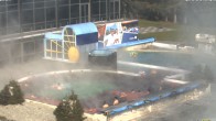 Archiv Foto Webcam Bad Füssing: Johannesbad-Therme Felsenlagune 11:00