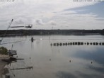 Archiv Foto Webcam Wakeboard- und Wasserskianlage am Steinberger See 10:00