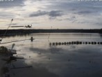 Archiv Foto Webcam Wakeboard- und Wasserskianlage am Steinberger See 06:00