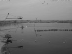 Archiv Foto Webcam Wakeboard- und Wasserskianlage am Steinberger See 06:00