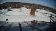 Archiv Foto Webcam Deggendorfer Golfplatz 11:00