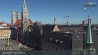 Archiv Foto Webcam Marienplatz München - Altes Rathaus 08:00