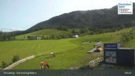 Archiv Foto Webcam Annaberg-Lungötz - Dachstein West - Donnerkogelbahn 08:00