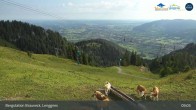 Archiv Foto Webcam Blick von der Brauneck Bergstation 08:00