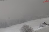 Archiv Foto Webcam Kartitsch - Osttirol 03:00