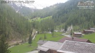 Archiv Foto Webcam Villgratental - Osttirol 13:00