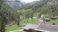 Archiv Foto Webcam Villgratental - Osttirol 11:00