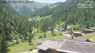 Archiv Foto Webcam Villgratental - Osttirol 11:00