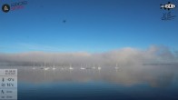 Archiv Foto Webcam Blick von Ammerland über den Starnberger See 07:00