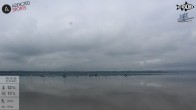 Archiv Foto Webcam Blick von Ammerland über den Starnberger See 11:00