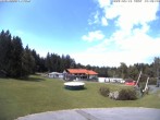 Archiv Foto Webcam Blick zur Talstation am Hohenbogen 13:00