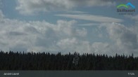 Archiv Foto Webcam Janské Lázně - Černá hora 16:00